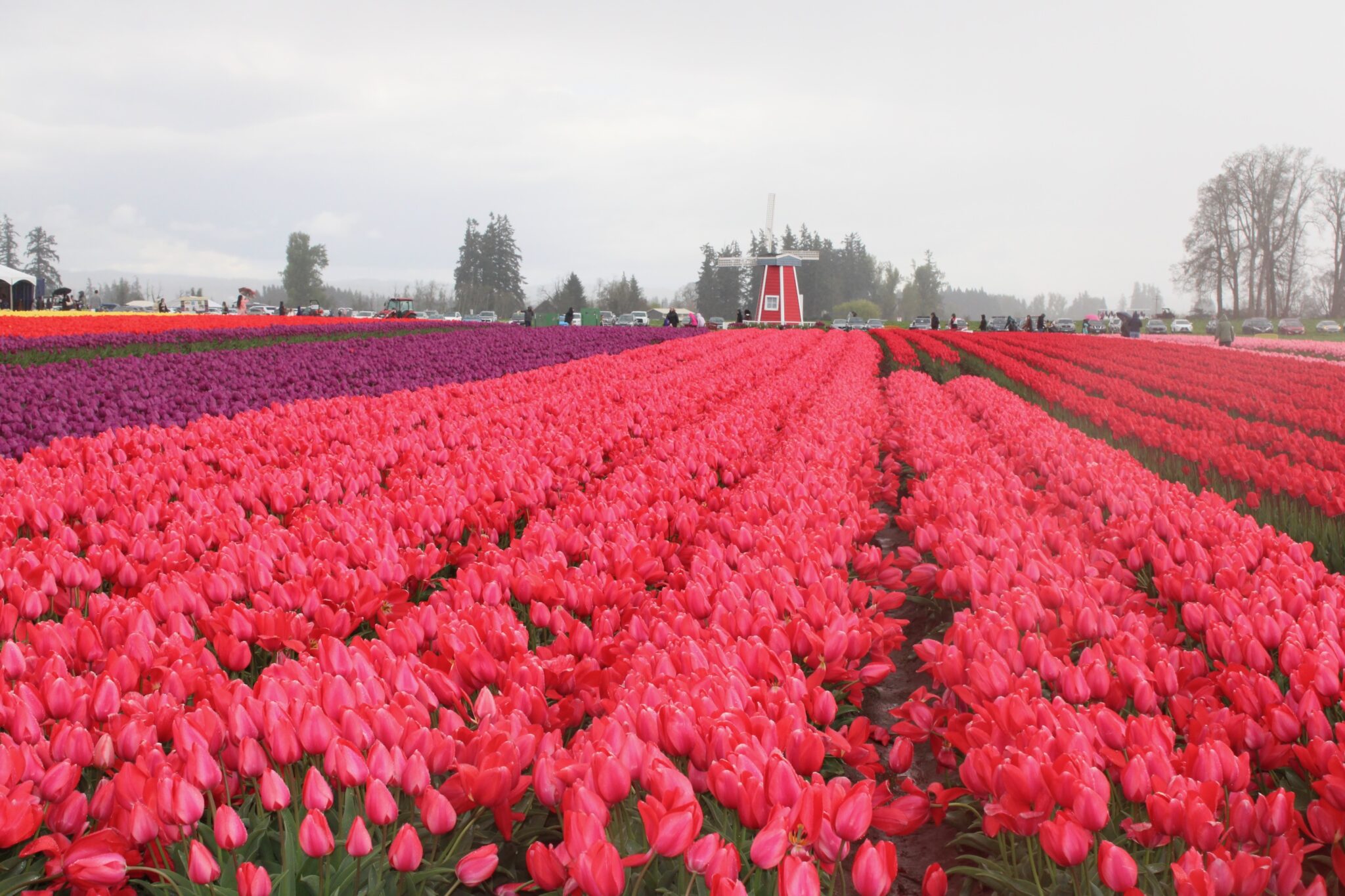 Oregon ditches farm stand regulations after public outcry